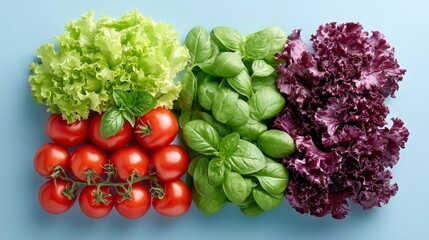 Variedad de verduras de hoja verde y morada en una mesa de cocina