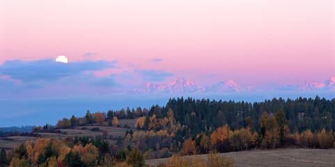 green way for oxygen ,good air,