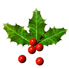 3D Realistic Christmas Sprig of Holly with Green Leaves and Red Berries