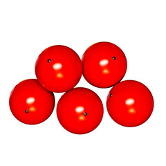 3D Realistic Christmas Holly Red Berries