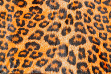  skin texture of Leopard
