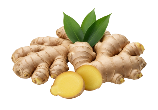 Fresh ginger root with vibrant green leaves, a healthy boost for your wellbeing, isolated on a transparent PNG background.