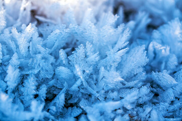 Winter blue landscape with crystal texture cold transparent hoarfrost frosty morning in the garden...