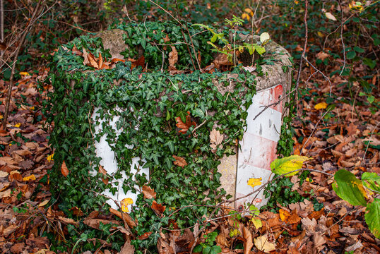 Zugewachsener Betonpoller