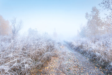 November frosty morning. Beautiful autumn misty sunrise landscape. Foggy morning and rime at scenic high grass meadow.
