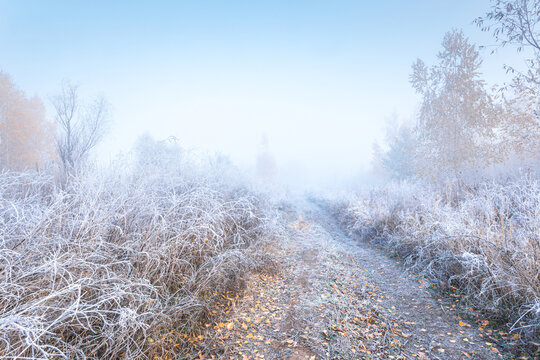 November frosty morning. Beautiful autumn misty sunrise landscape. Foggy morning and rime at scenic high grass meadow.