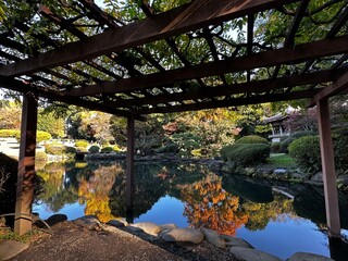 japanese garden in autumn
