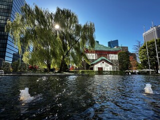 bridge over the river