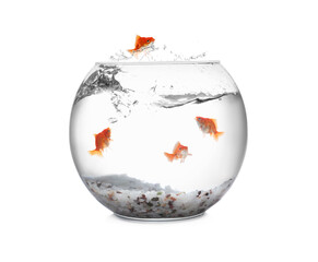 Goldfish jumping out of glass bowl against white background