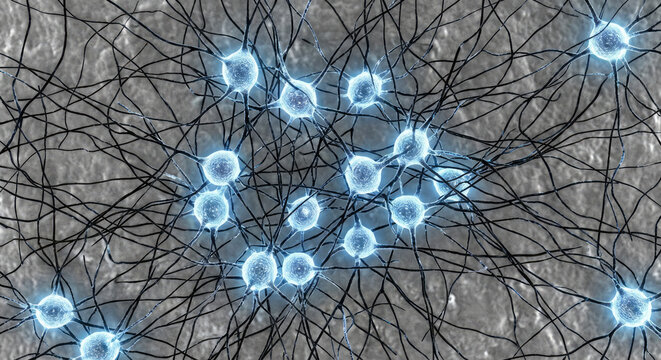 Visualisation microscopique d&rsquo;un r&eacute;seau neuronal complexe en bleu et noir