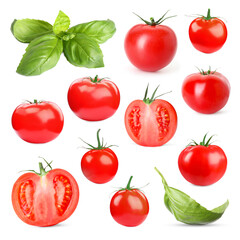 Fresh tomatoes and green basil leaves isolated on white, set