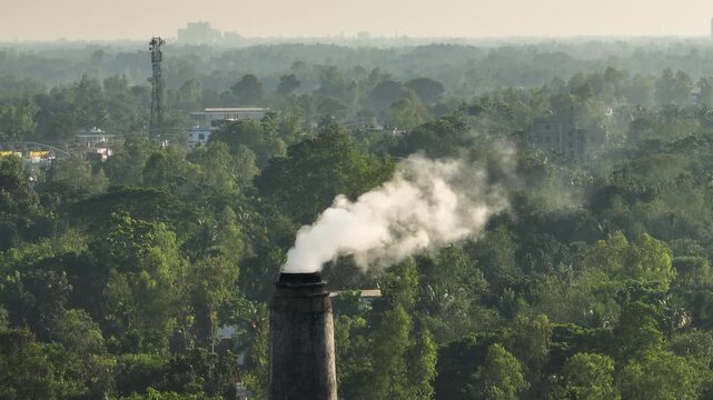Thick toxic smoke rising from a brick kiln chimney drifts across nearby fields, choking the air and harming wildlife, plants, and the fragile natural habitat around it