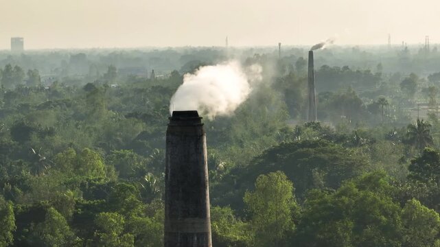 Thick toxic smoke rising from a brick kiln chimney drifts across nearby fields, choking the air and harming wildlife, plants, and the fragile natural habitat around it