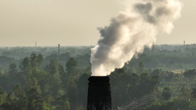 Thick toxic smoke rising from a brick kiln chimney drifts across nearby fields, choking the air and harming wildlife, plants, and the fragile natural habitat around it