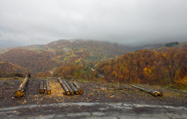 autumn landscape in the  Serbia