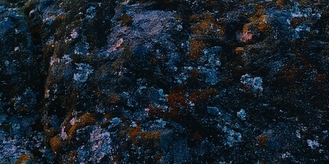 Close-up of a dark, textured rock surface with blue, orange, and white lichen patches.