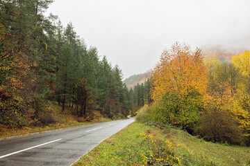 Beautiful autumn road in Serbia