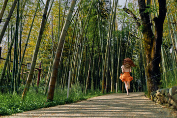Fototapeta premium Woman running in an orange dress along a winding path through a dense bamboo forest, back view motion capture, summertime nature scene with sunlight, leafy green tranquility.