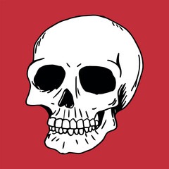 Hand- Drawn White Skull on Red Background human head