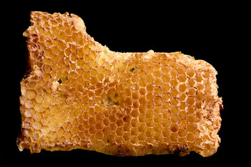 Ruche d'abeilles fossilis&eacute;e sur fond noir