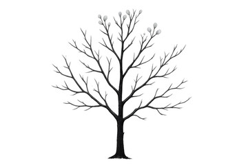 Obraz premium Pussy willow tree illustration showing first buds in winter or early spring, bringing hope and renewal. Transparent background