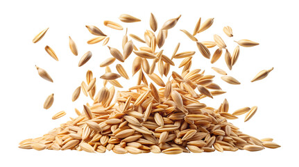 Pile of oats with oats falling isolated on transparent background