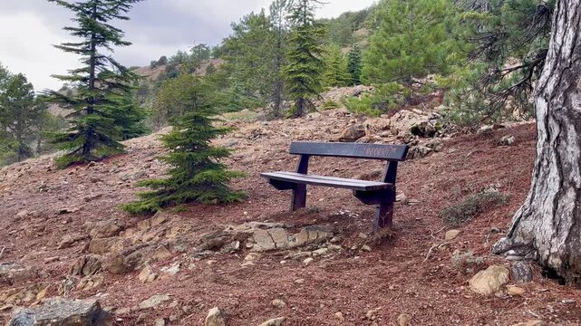 Wooden bench on a rocky forest slope along the Atalanti nature trail in the Troodos Mountains of Cyprus, surrounded by young conifers and calm alpine scenery, offering a quiet moment of rest