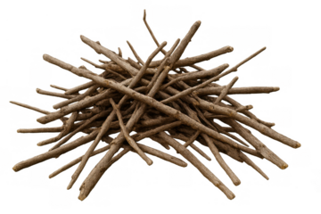 Group of small dry sticks and twigs gathered into a wood pile, serving as essential kindling material for a warm fire