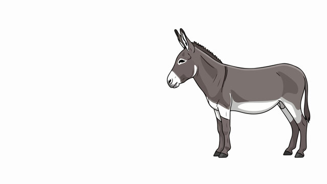 Gray donkey standing on white background, illustration of domestic Equus asinus with short dark mane and tail. Simple gray donkey image for educational materials and children's books.
