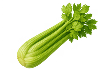 Fresh green celery stalks, with water droplets, showing a healthy raw vegetable, isolated on transparent background
