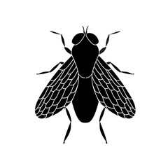 Insect fly vector icon.Black vector icon isolated on white background insect fly .
