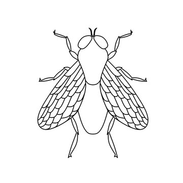 Fly line icon, outline vector sign, linear pictogram isolated on white. Symbol, logo illustration