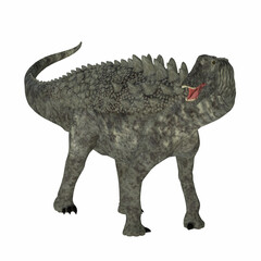 Ampelosaurus Dinosaur on White - Ampelosaurus was an armored sauropod dinosaur that lived in Europe during the Cretaceous Period.