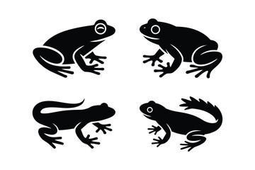 Four black silhouettes of frogs and salamanders on a white background