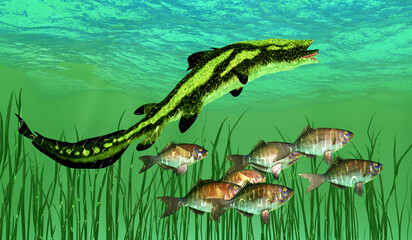 Edestus Shark Hunting - Edestus shark lived in seas of the Carboniferous Period in North America, England and Russia.