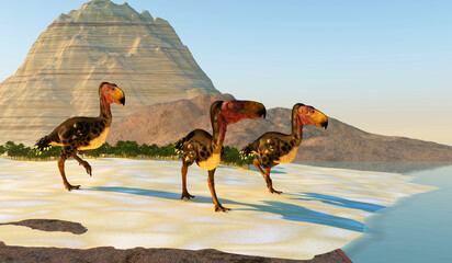 Kelenken Birds on Beach - Kelenken is an extinct genus of giant flightless predatory birds that are called "terror birds" from the Miocene Era.