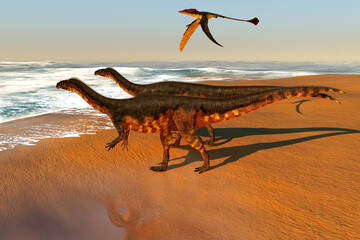 Plateosaurus Beach - Plateosaurus was a prosauropod herbivorous dinosaur that lived in the Triassic Age of Europe. Eudimorphodon was a predatory flying reptile that lived in the Triassic Period and fo