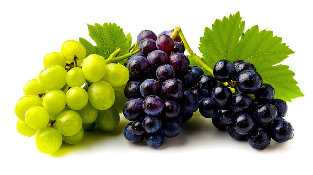 Grapes green grap purple graped bunch of grapese fresh grapse grape bunch grae bunches graep bunch green grape purpl grapel graps bunch grap bunches