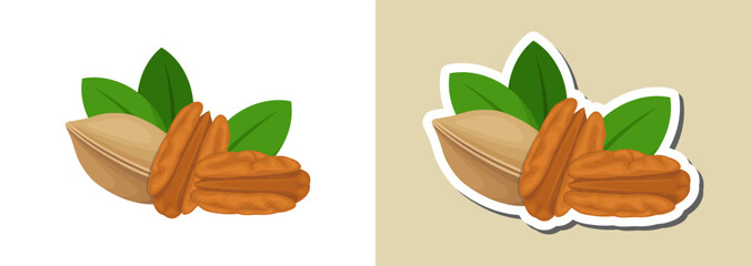 Pecan nut illustration and sticker – gourmet nuts design