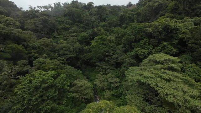 Paisajes de la comarca Panama 