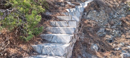 Steps lead up a hillside pathway in a natural setting during daytime