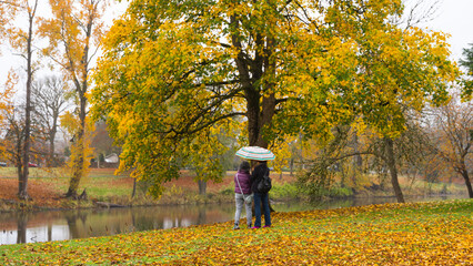 Fototapeta premium Autumn in Lake Sacajawea Park, Longview, Washington 