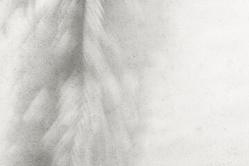 Cloud Dancer color of year 2026. Palm leaf shadow on white concrete wall. Minimal exotic background