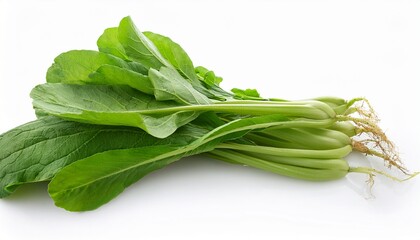 fresh mustard greens on white background