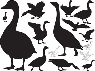 Fototapeta premium Goose Silhouettes