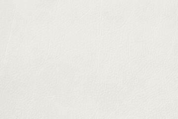 Natural background with white leather texture in Cloud Dancer shade and detailed grain, color 2026. Leather texture perfect for mockups, design