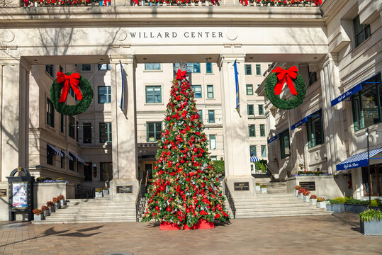 Grand Christmas tree and wreaths at the Willard Center in Washington D.C.