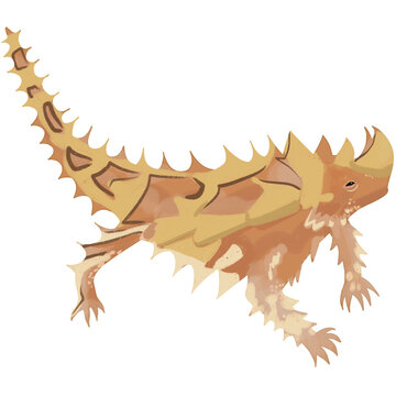 Handdrawn Desert Animals Thorny Devil Illustration