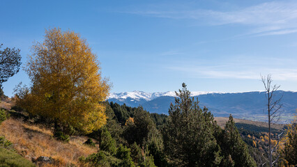autumn in the mountains