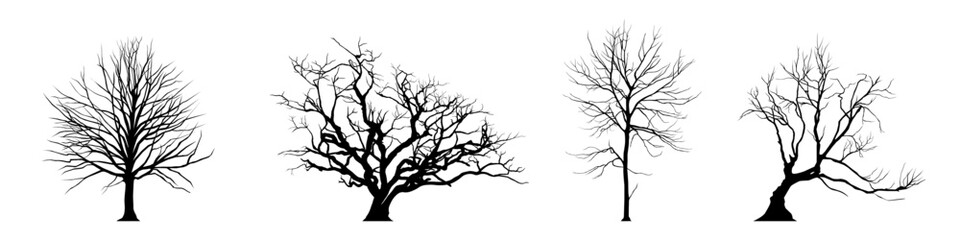 leafless tree silhouette. bare tree vector